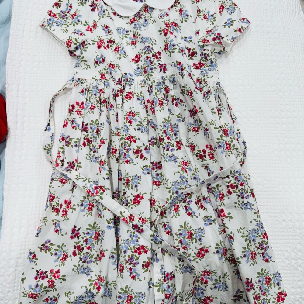 Edgehill Collection Floral Dress with White Collar
